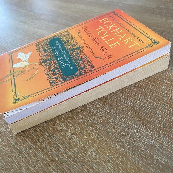 Eckhart Tolle Book Bundle | set of 2 - Picture 3 of 3